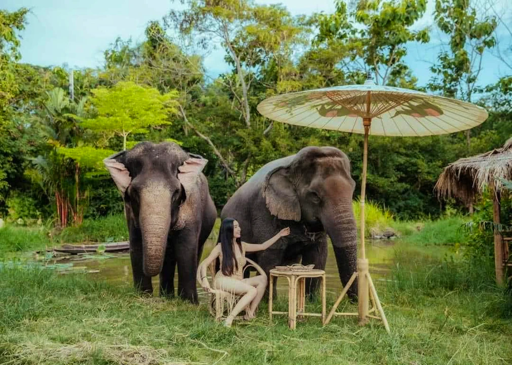 Pattaya Elephant Village & Mongchang Cafe Half Day Tour Location